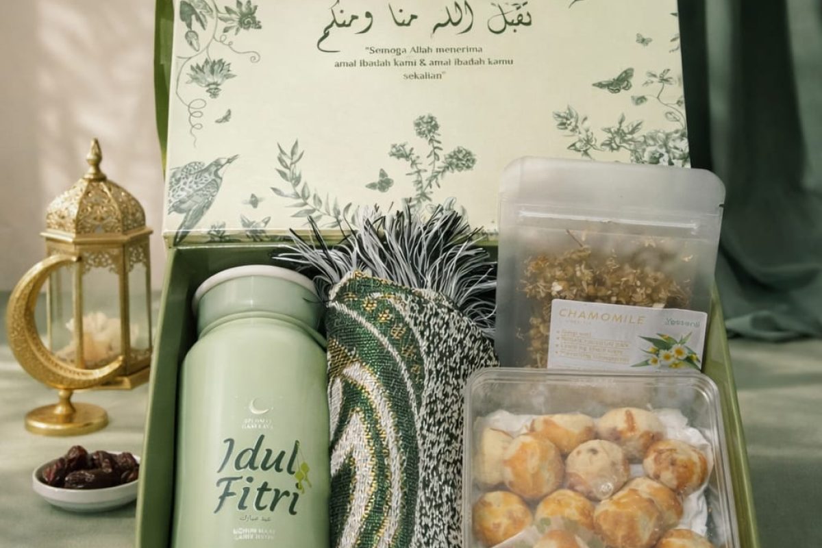 WhatsApp Image 2026-02-11 at 11.36.37